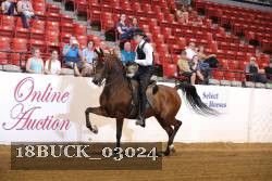18BUCK_03024 thumbnail