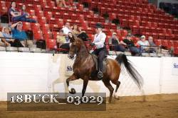 18BUCK_03029 thumbnail