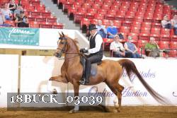 18BUCK_03039 thumbnail
