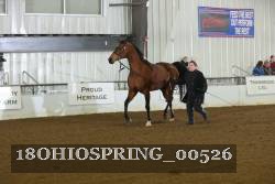 18OHIOSPRING_00526 thumbnail