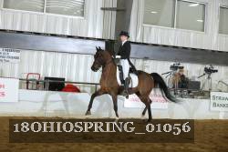 18OHIOSPRING_01056 thumbnail
