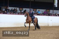 18R2_00423 thumbnail