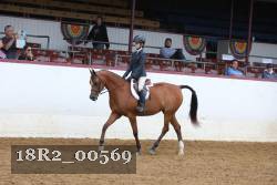 18R2_00569 thumbnail