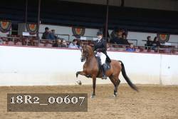 18R2_00607 thumbnail