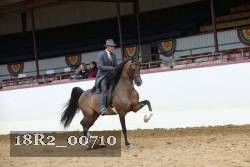 18R2_00710 thumbnail