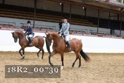 18R2_00739 thumbnail