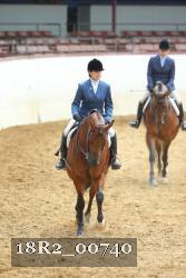 18R2_00740 thumbnail