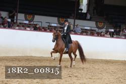 18R2_00815 thumbnail