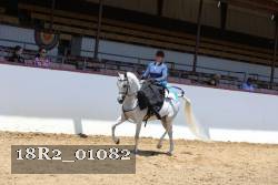 18R2_01082 thumbnail