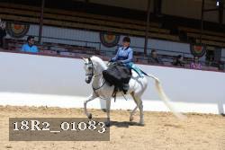 18R2_01083 thumbnail