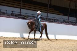 18R2_01087 thumbnail