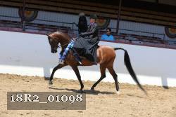 18R2_01098 thumbnail