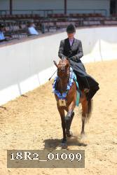 18R2_01099 thumbnail