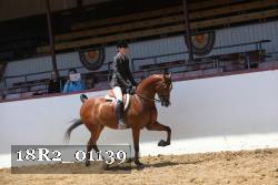 18R2_01139 thumbnail