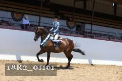 18R2_01161 thumbnail