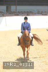 18R2_01341 thumbnail