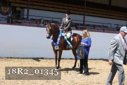 18R2_01345 thumbnail