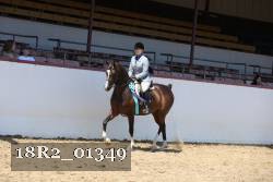 18R2_01349 thumbnail