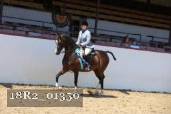 18R2_01350 thumbnail