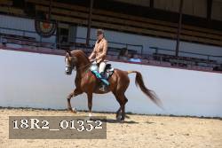 18R2_01352 thumbnail