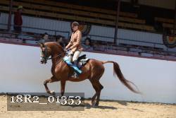18R2_01353 thumbnail