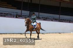 18R2_01355 thumbnail