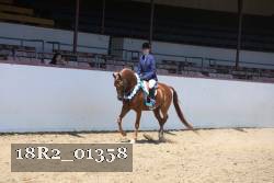 18R2_01358 thumbnail
