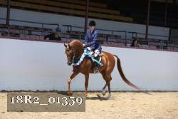 18R2_01359 thumbnail
