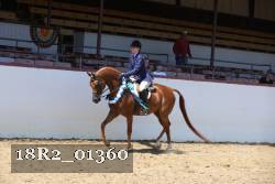 18R2_01360 thumbnail