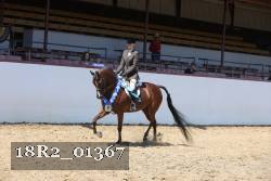 18R2_01367 thumbnail