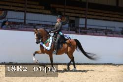 18R2_01419 thumbnail