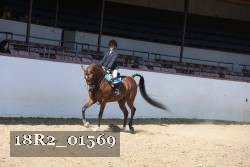 18R2_01569 thumbnail