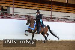 18R2_01875 thumbnail