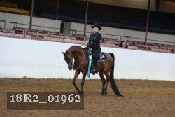 18R2_01962 thumbnail