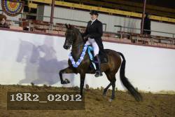 18R2_02012 thumbnail