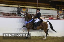 18R2_02014 thumbnail