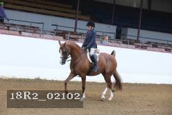 18R2_02102 thumbnail