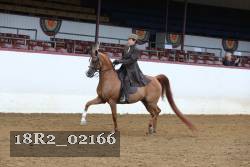 18R2_02166 thumbnail