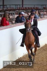 18R2_02173 thumbnail