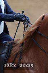 18R2_02219 thumbnail