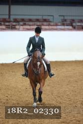 18R2_02330 thumbnail