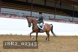 18R2_02345 thumbnail