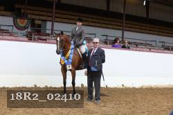18R2_02410 thumbnail