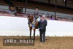 18R2_02411 thumbnail