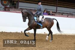 18R2_02413 thumbnail