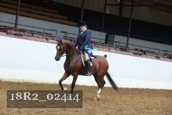 18R2_02414 thumbnail