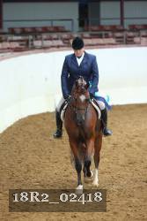 18R2_02418 thumbnail