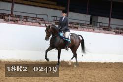 18R2_02419 thumbnail