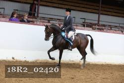 18R2_02420 thumbnail
