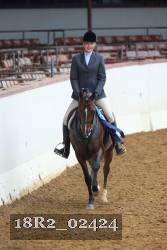 18R2_02424 thumbnail
